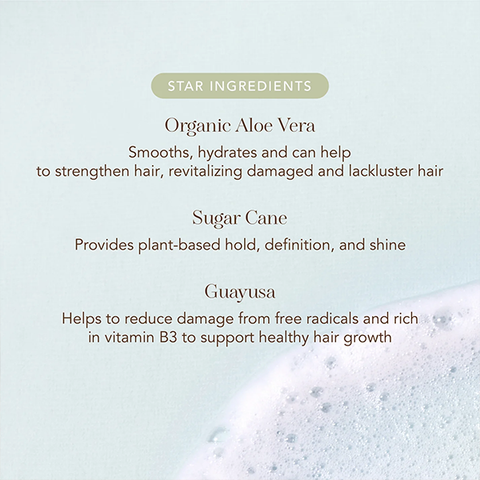 Aloe Vera Hair Mousse